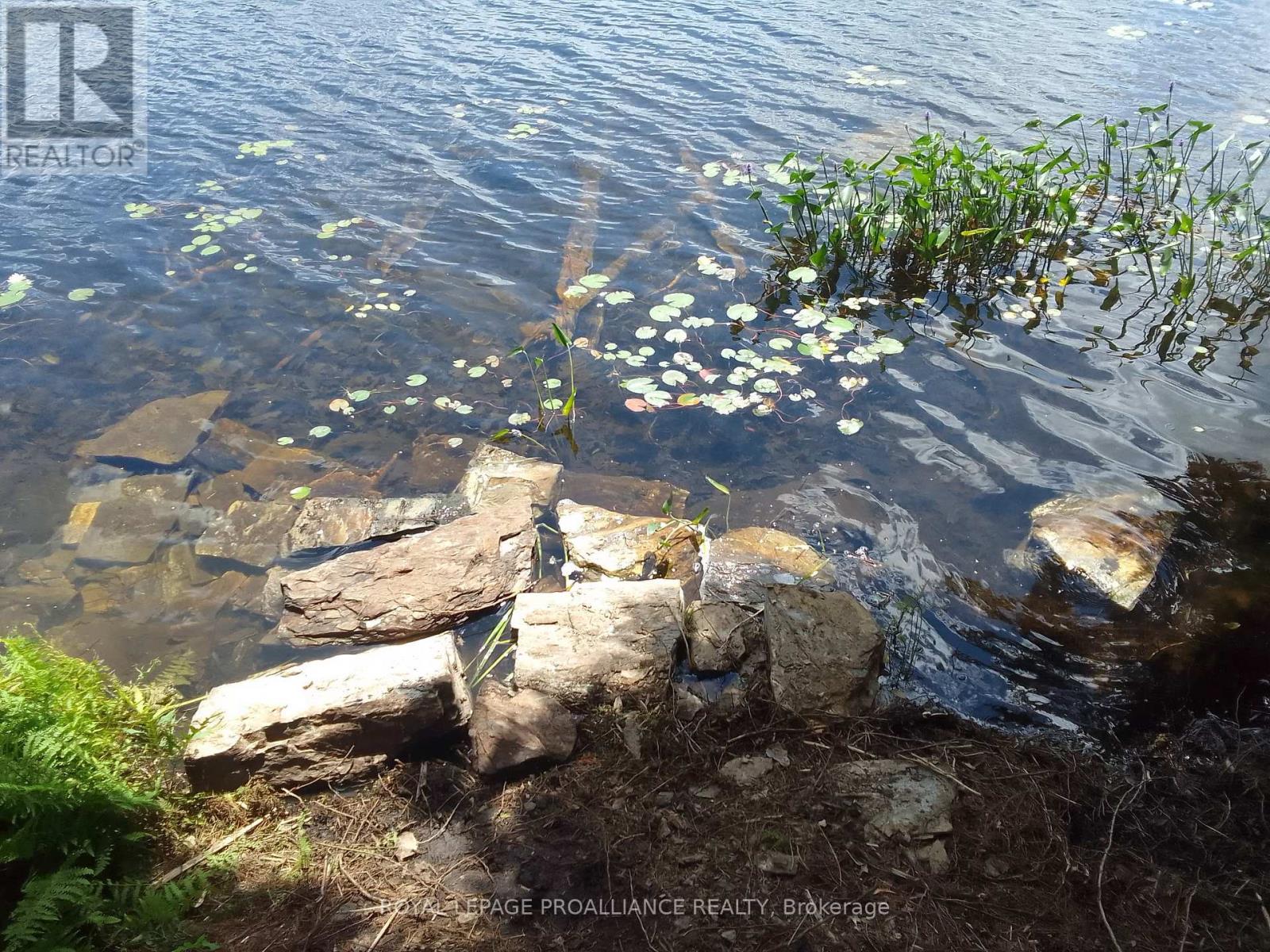 2556a Road 506 Road, Frontenac, Ontario  K0H 1K0 - Photo 9 - X13040264