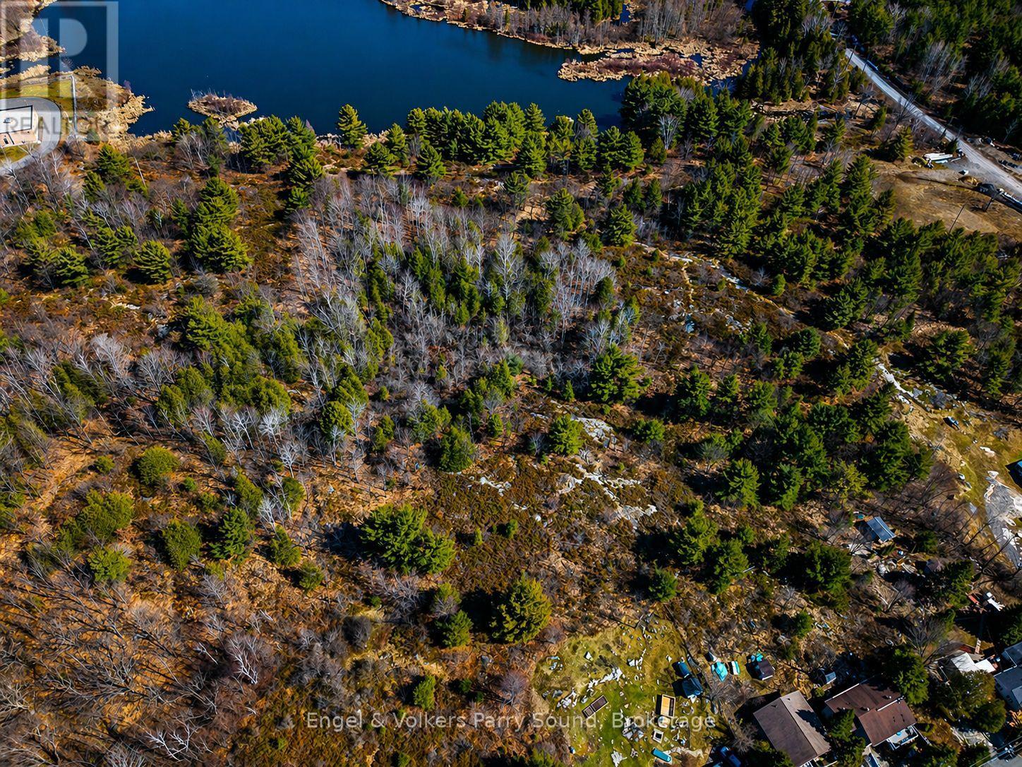 0 Emily Street, Parry Sound, Ontario  P2A 2W8 - Photo 14 - X13040384