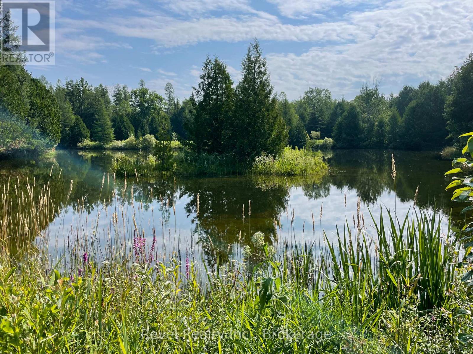 466615 12th B Concession, Grey Highlands, Ontario  N0C 1E0 - Photo 4 - X13040460