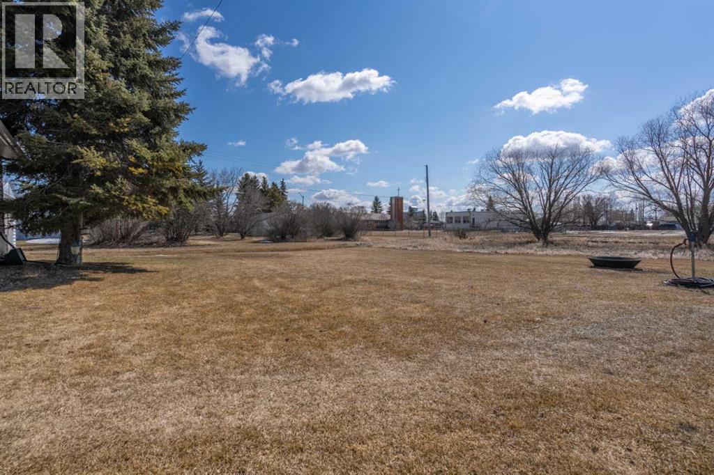 216 King Street, Bawlf, Alberta  T0B 0J0 - Photo 23 - A2303054