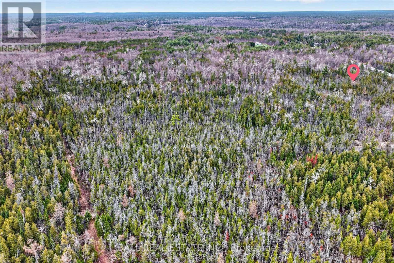 6550 Highway 28, North Kawartha, Ontario  K0L 3E0 - Photo 39 - X13036056