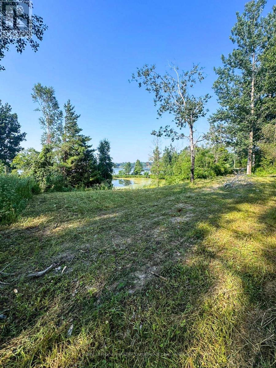 14 Lawson Court, Kawartha Lakes, Ontario  K0L 2W0 - Photo 11 - X13029918