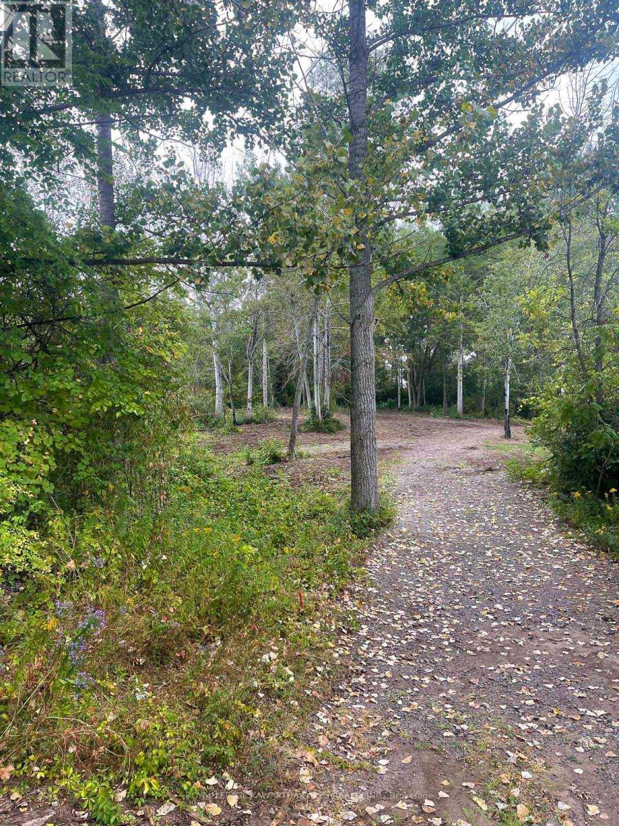 14 Lawson Court, Kawartha Lakes, Ontario  K0L 2W0 - Photo 12 - X13029918