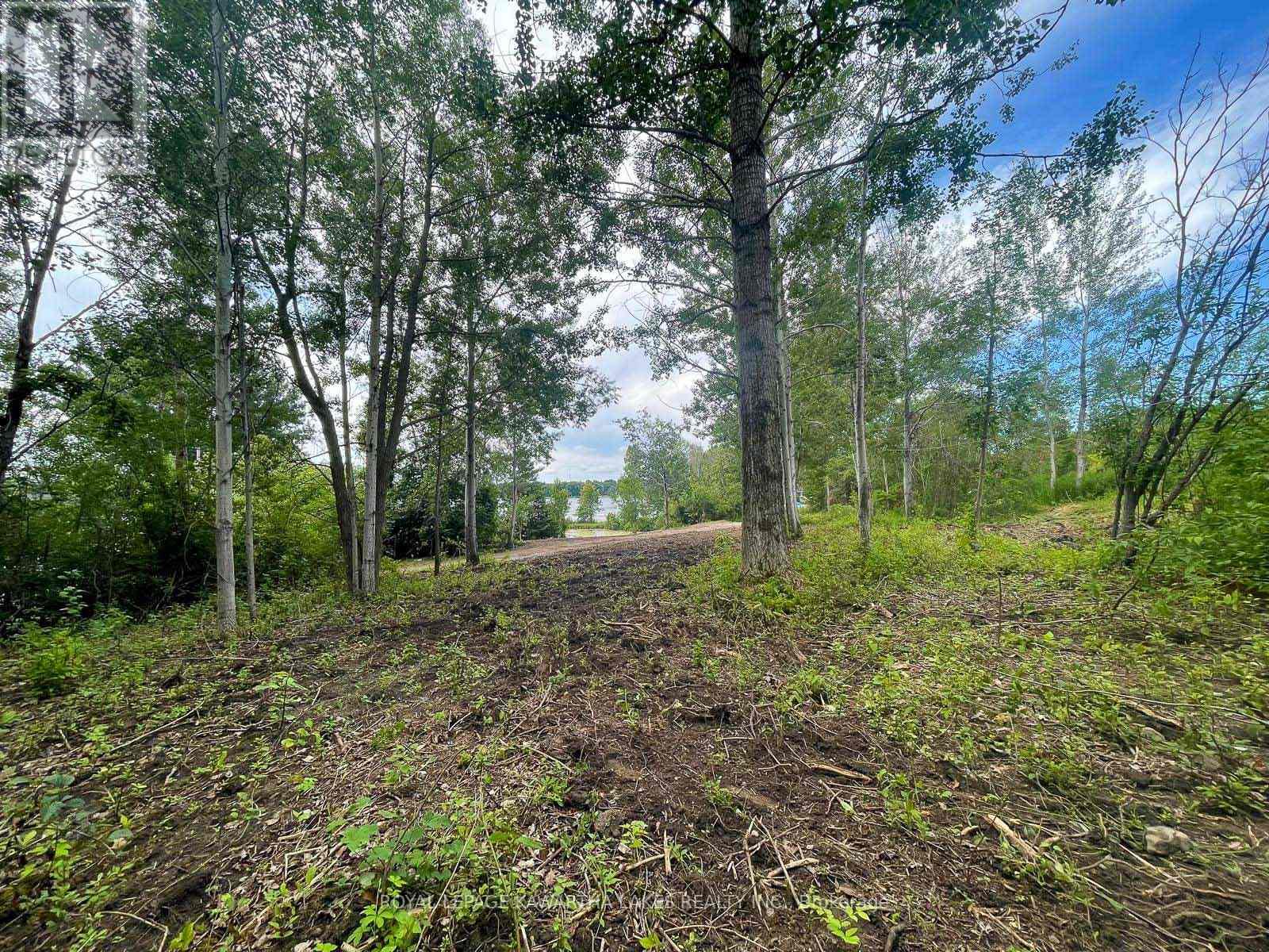 14 Lawson Court, Kawartha Lakes, Ontario  K0L 2W0 - Photo 15 - X13029918