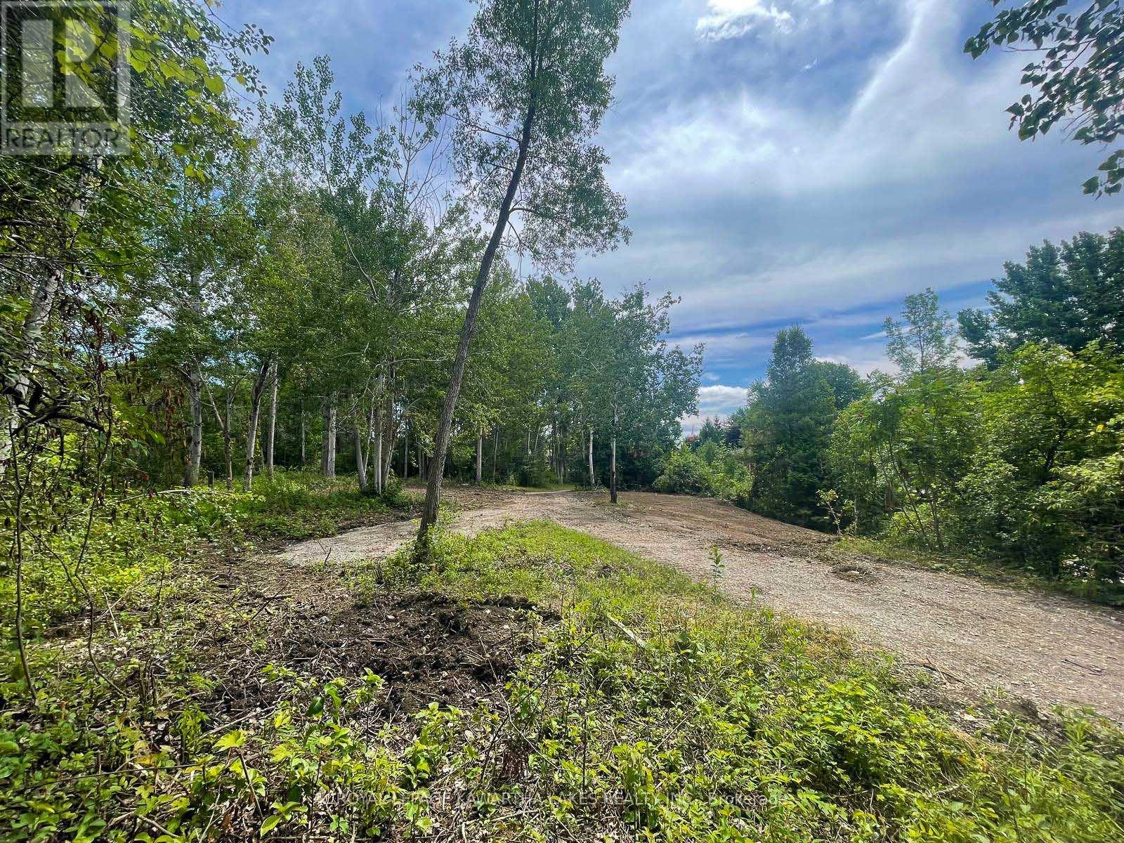 14 Lawson Court, Kawartha Lakes, Ontario  K0L 2W0 - Photo 9 - X13029918