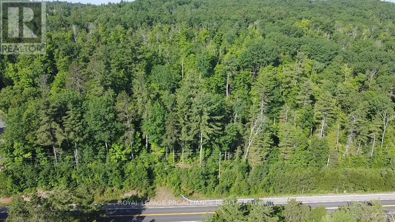 0000 Highway 41 Highway, Addington Highlands, Ontario  K0H 1K0 - Photo 2 - X13040540