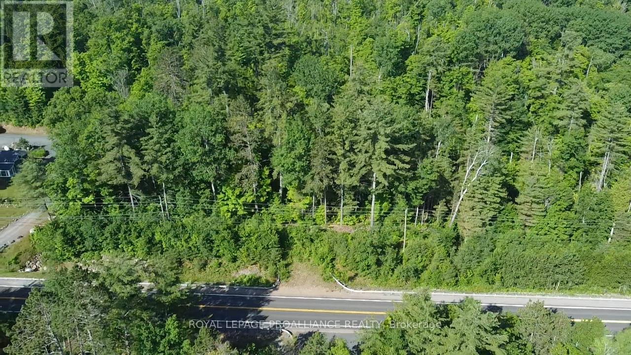 0000 Highway 41 Highway, Addington Highlands, Ontario  K0H 1K0 - Photo 6 - X13040540