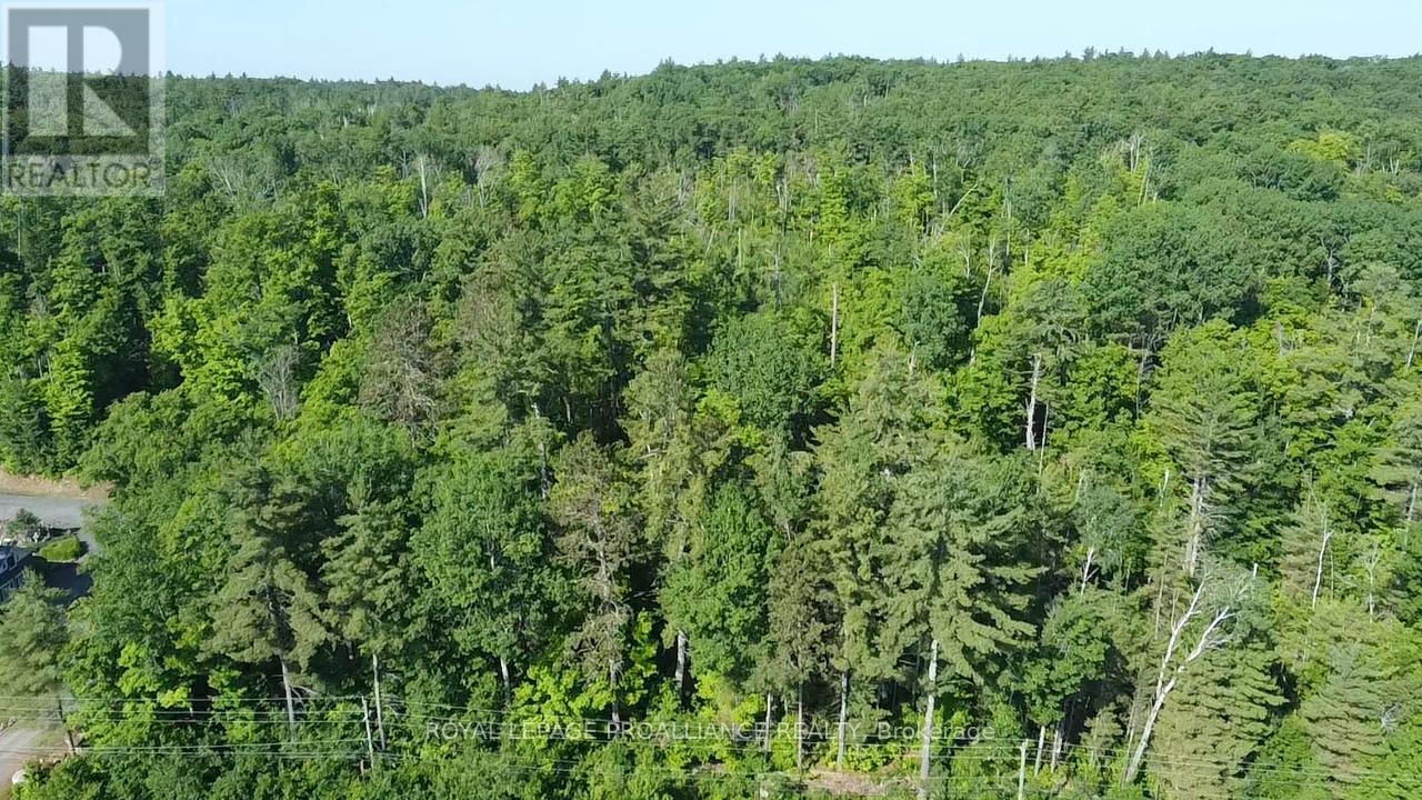 0000 Highway 41 Highway, Addington Highlands, Ontario  K0H 1K0 - Photo 7 - X13040540