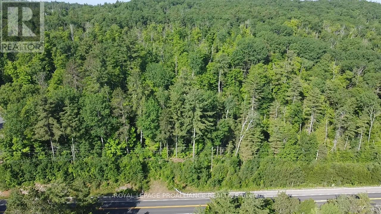 0000 Highway 41 Highway, Addington Highlands, Ontario  K0H 1K0 - Photo 8 - X13040540