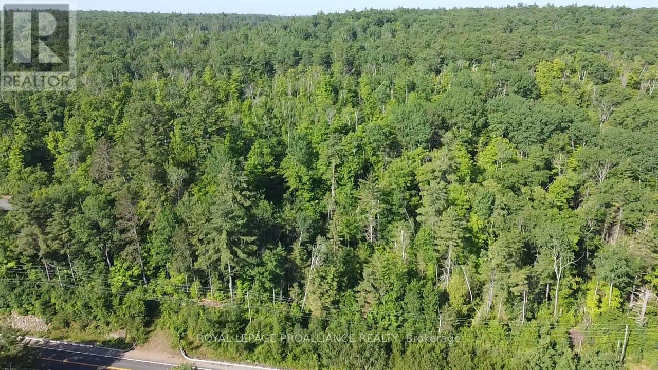 0000 Highway 41 Highway, Addington Highlands, Ontario  K0H 1K0 - Photo 9 - X13040540
