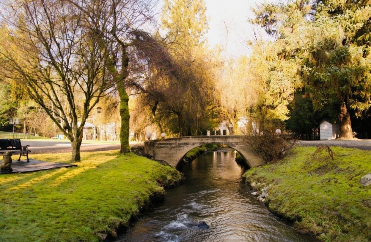 30780 Keystone Avenue, Mission, British Columbia  V4S 1G5 - Photo 25 - R3094132