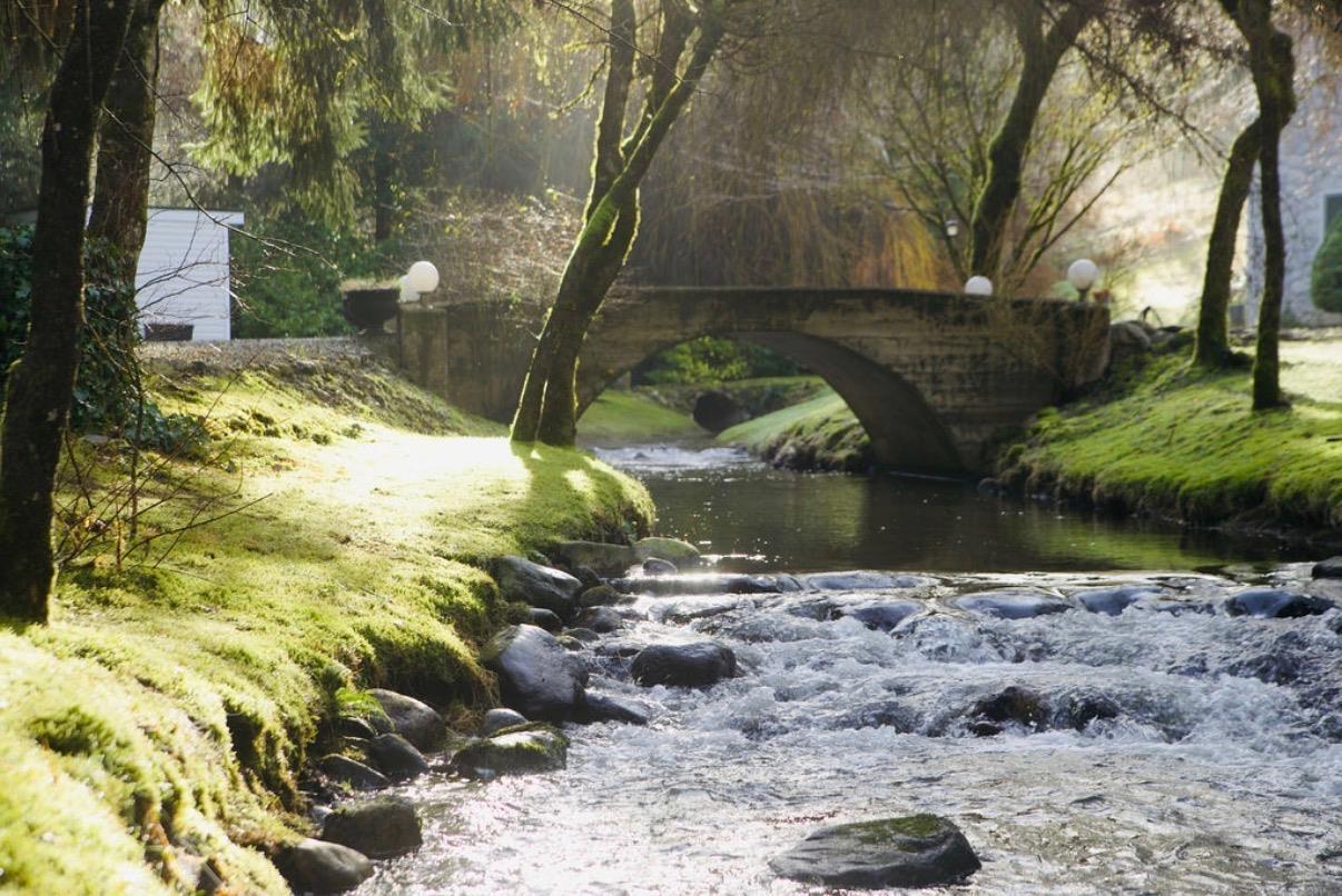 30780 Keystone Avenue, Mission, British Columbia  V4S 1G5 - Photo 26 - R3094132