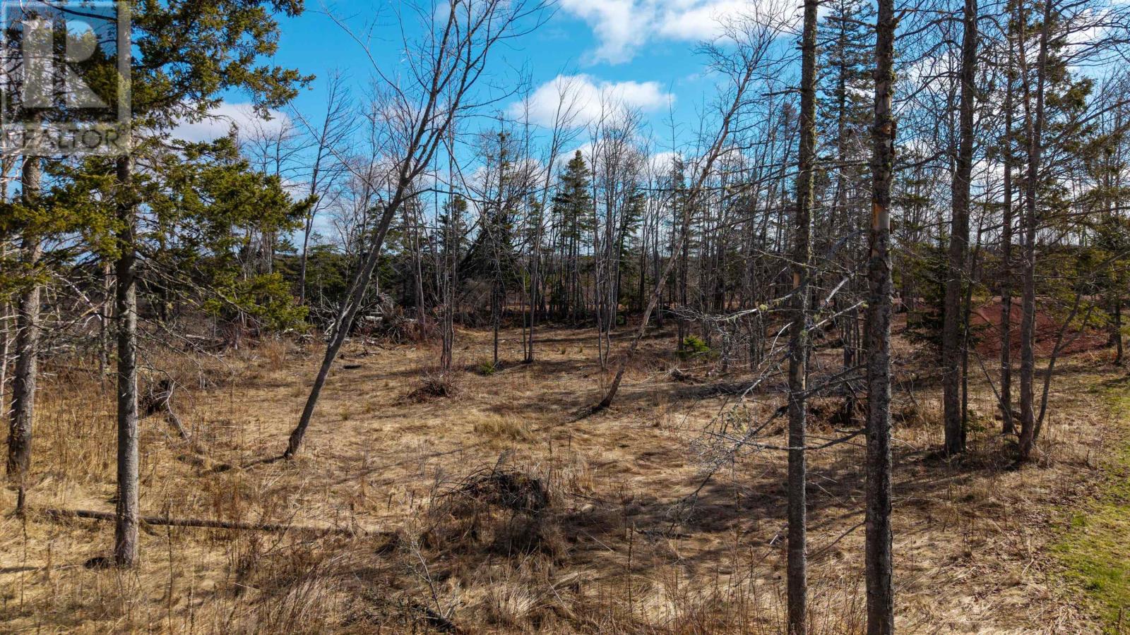 Lot Cape Breton Road, Dromore, Prince Edward Island  C0A 1T0 - Photo 8 - 202608516
