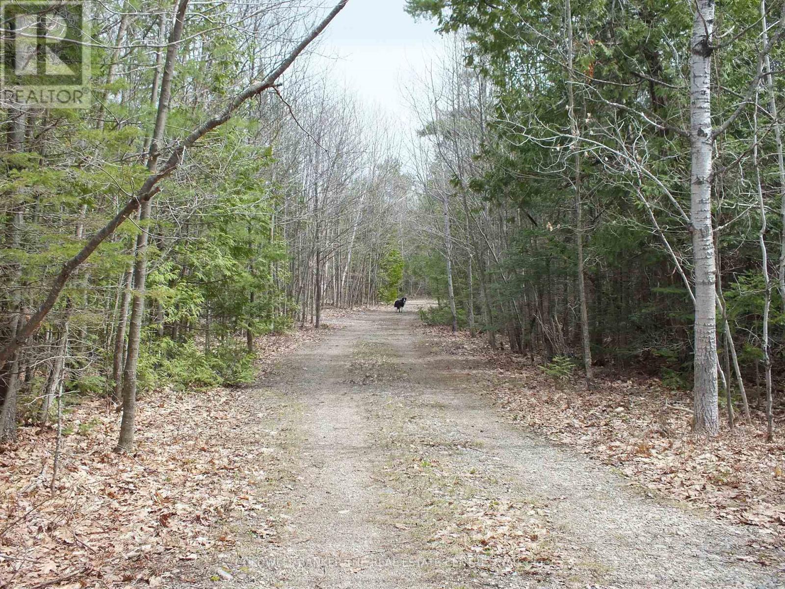 N/a Dial Road N, Central Manitoulin, Ontario  P0P 2C0 - Photo 1 - X13040508