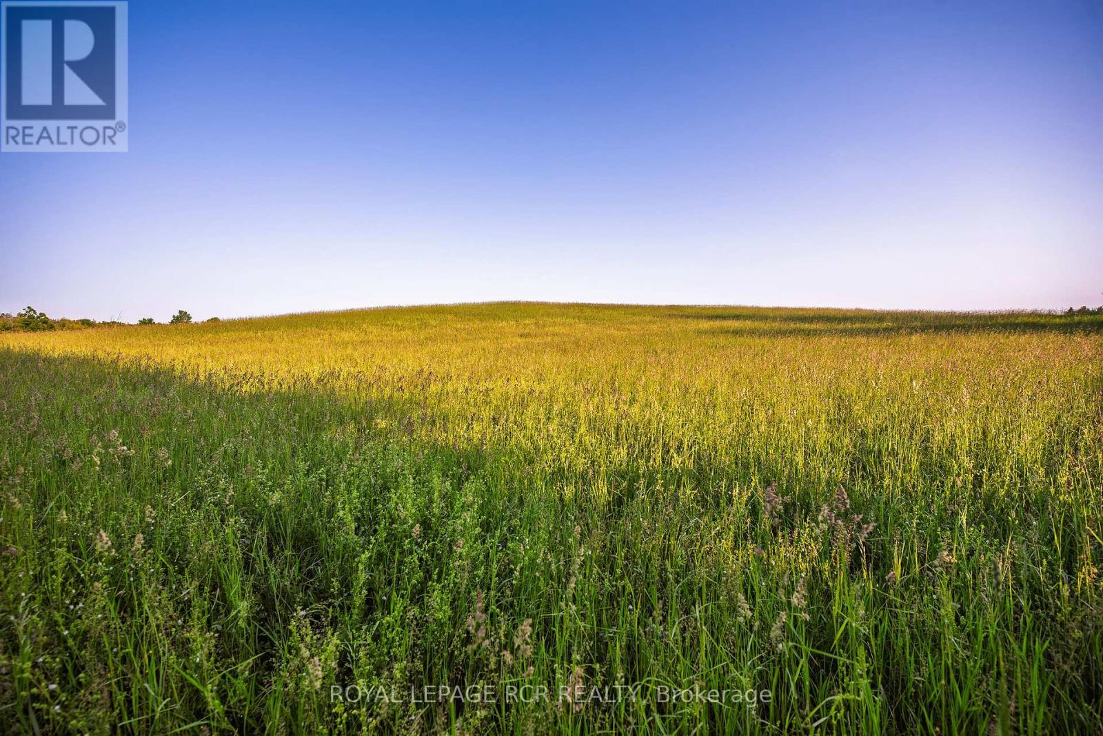 Ptlt 18 7th Line, Mono, Ontario  L9W 6G1 - Photo 7 - X13040594