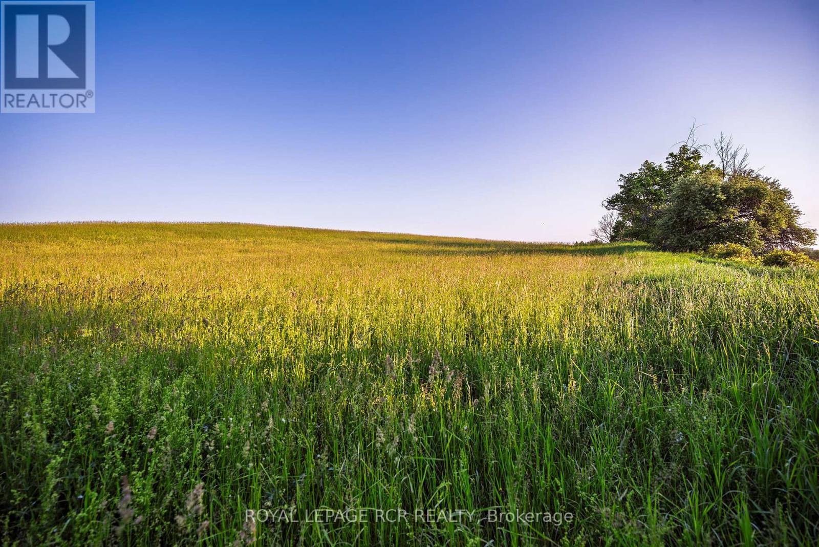 Ptlt 18 7th Line, Mono, Ontario  L9W 6G1 - Photo 8 - X13040594