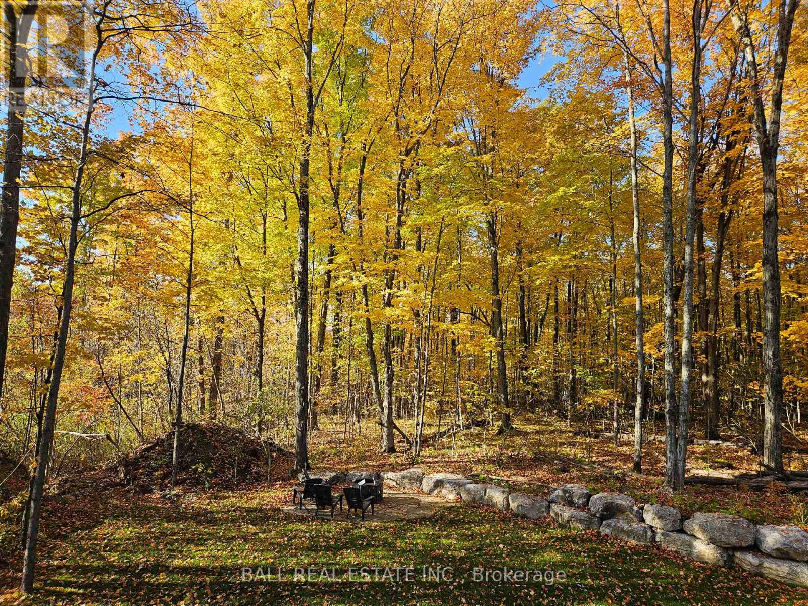 25 Fire Route 42, Trent Lakes, Ontario  K0L 1J0 - Photo 45 - X13040722