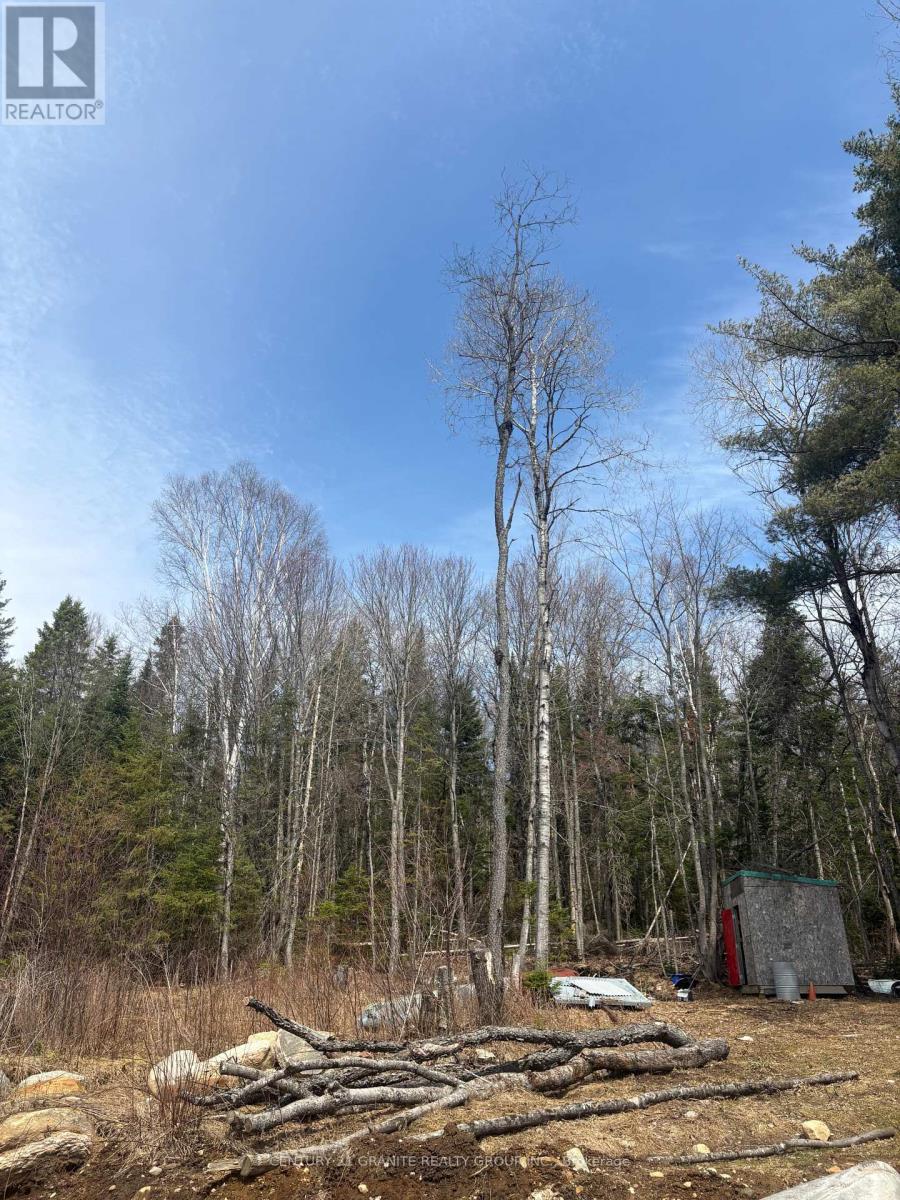 1079 North Mackenzie Lake Road, South Algonquin, Ontario  K0J 2M0 - Photo 16 - X13040890