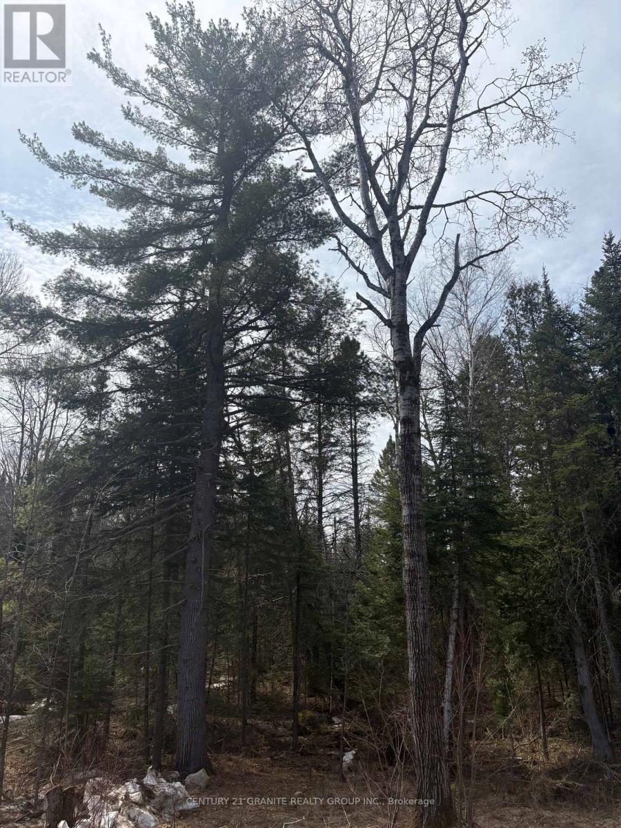 1079 North Mackenzie Lake Road, South Algonquin, Ontario  K0J 2M0 - Photo 21 - X13040890