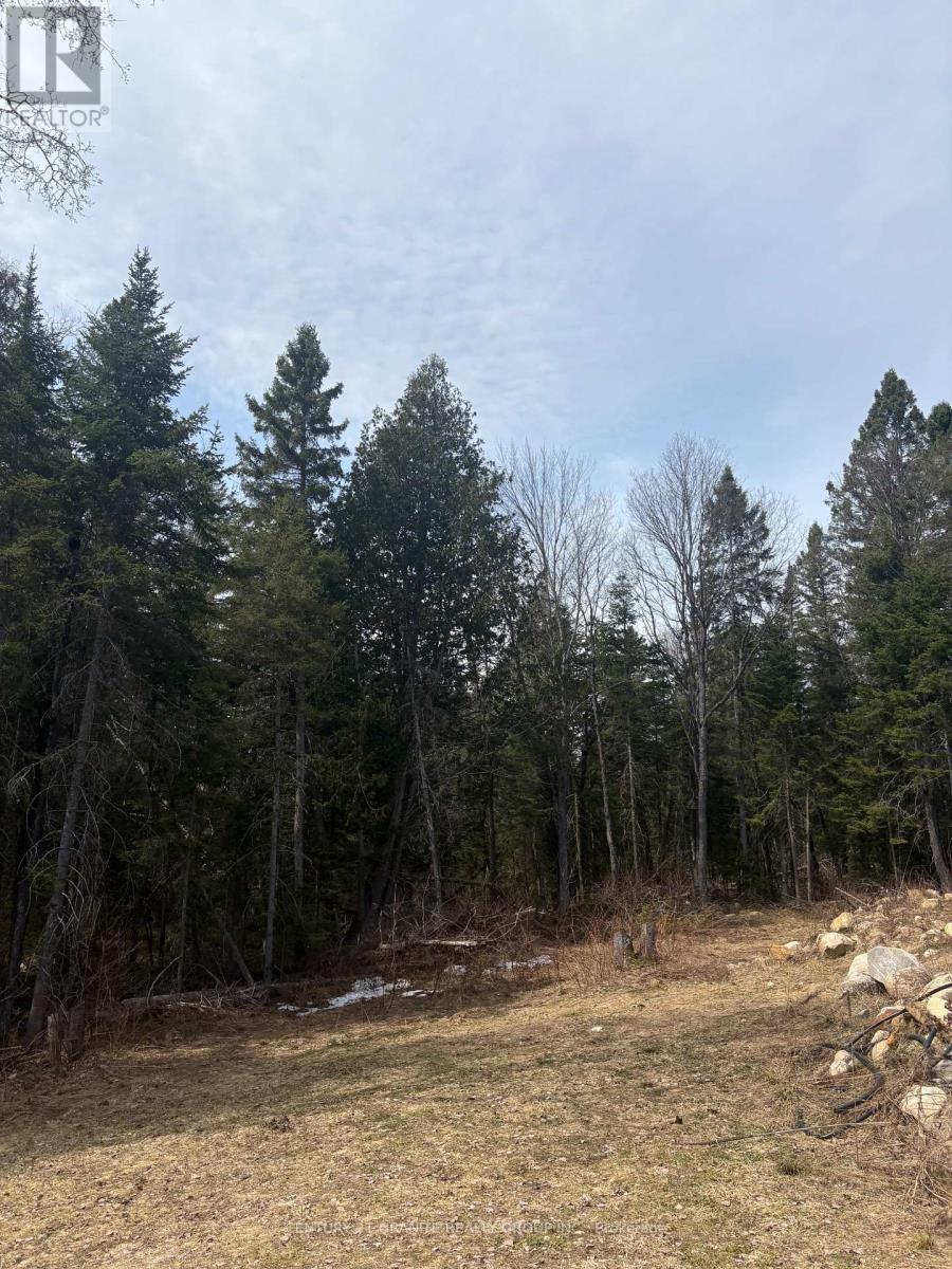 1079 North Mackenzie Lake Road, South Algonquin, Ontario  K0J 2M0 - Photo 22 - X13040890