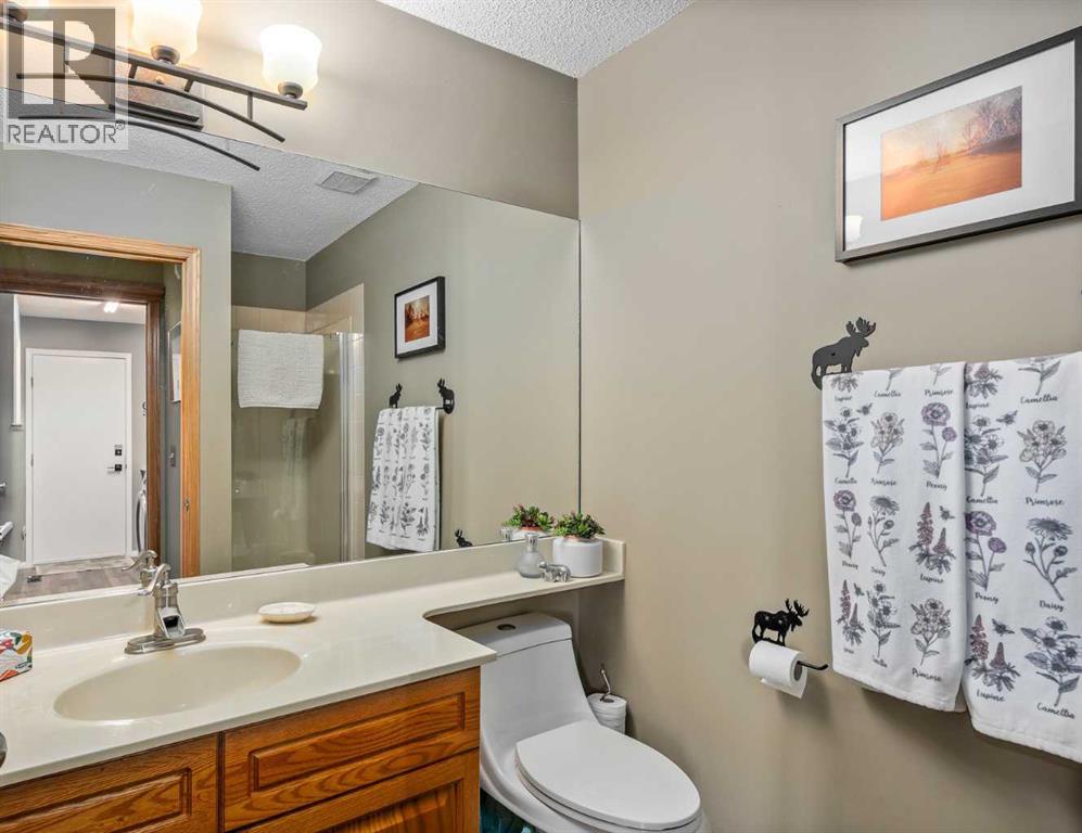 94 Sunset Way, Priddis Greens, Alberta  T0L 1W3 - Photo 26 - A2302298