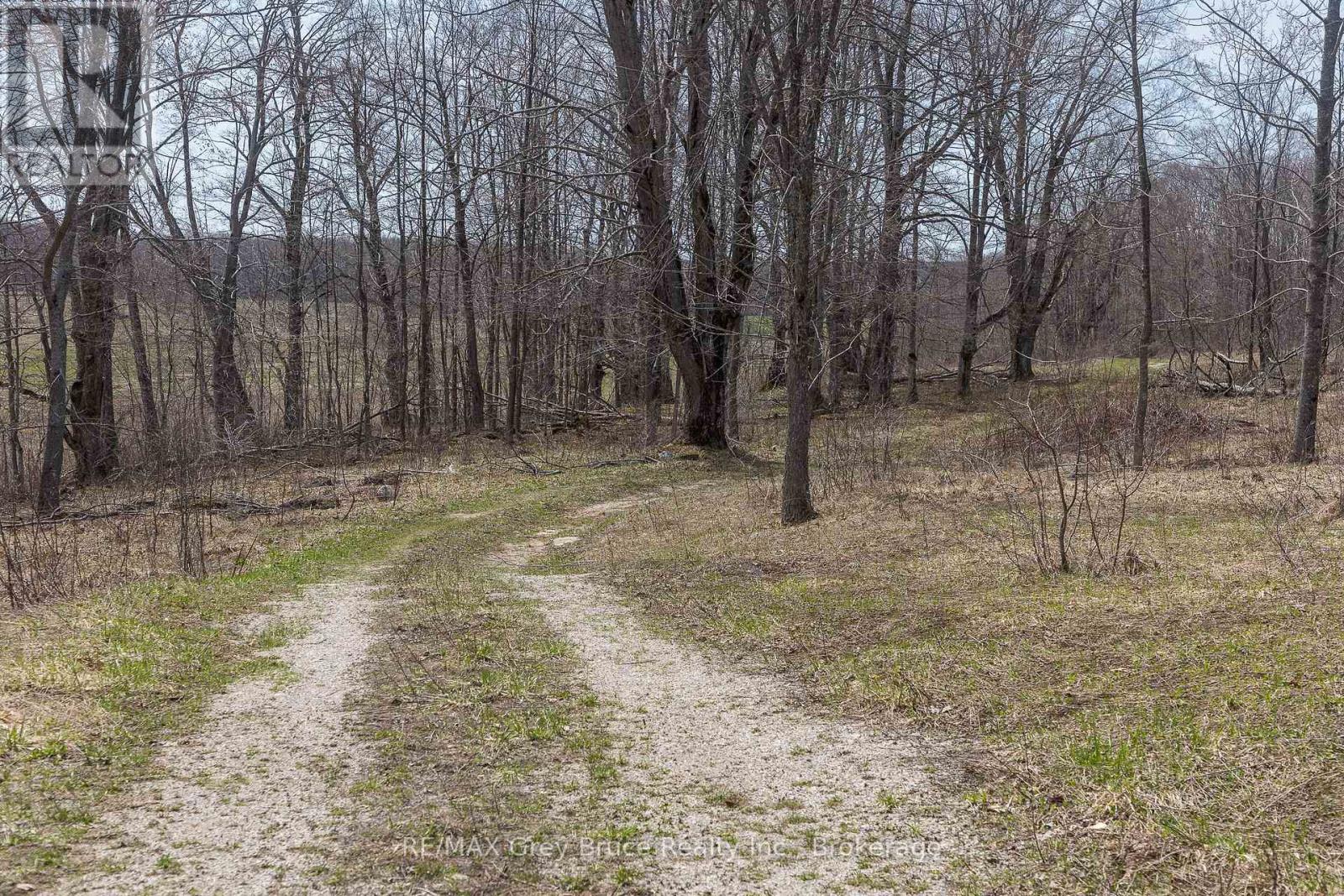 Lt 34 Con 23 Concession 24, Georgian Bluffs, Ontario  N0H 2T0 - Photo 10 - X13040804