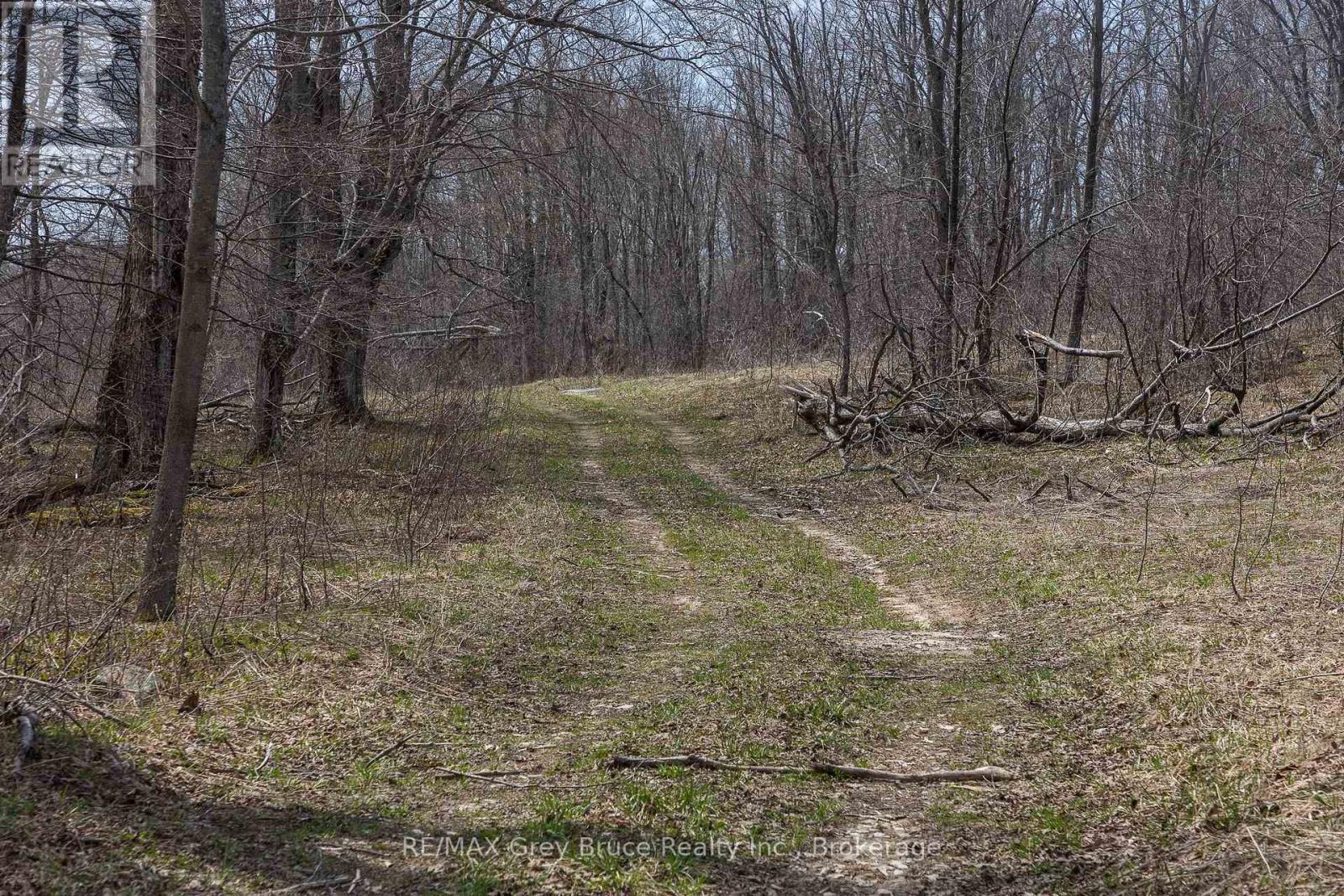 Lt 34 Con 23 Concession 24, Georgian Bluffs, Ontario  N0H 2T0 - Photo 11 - X13040804