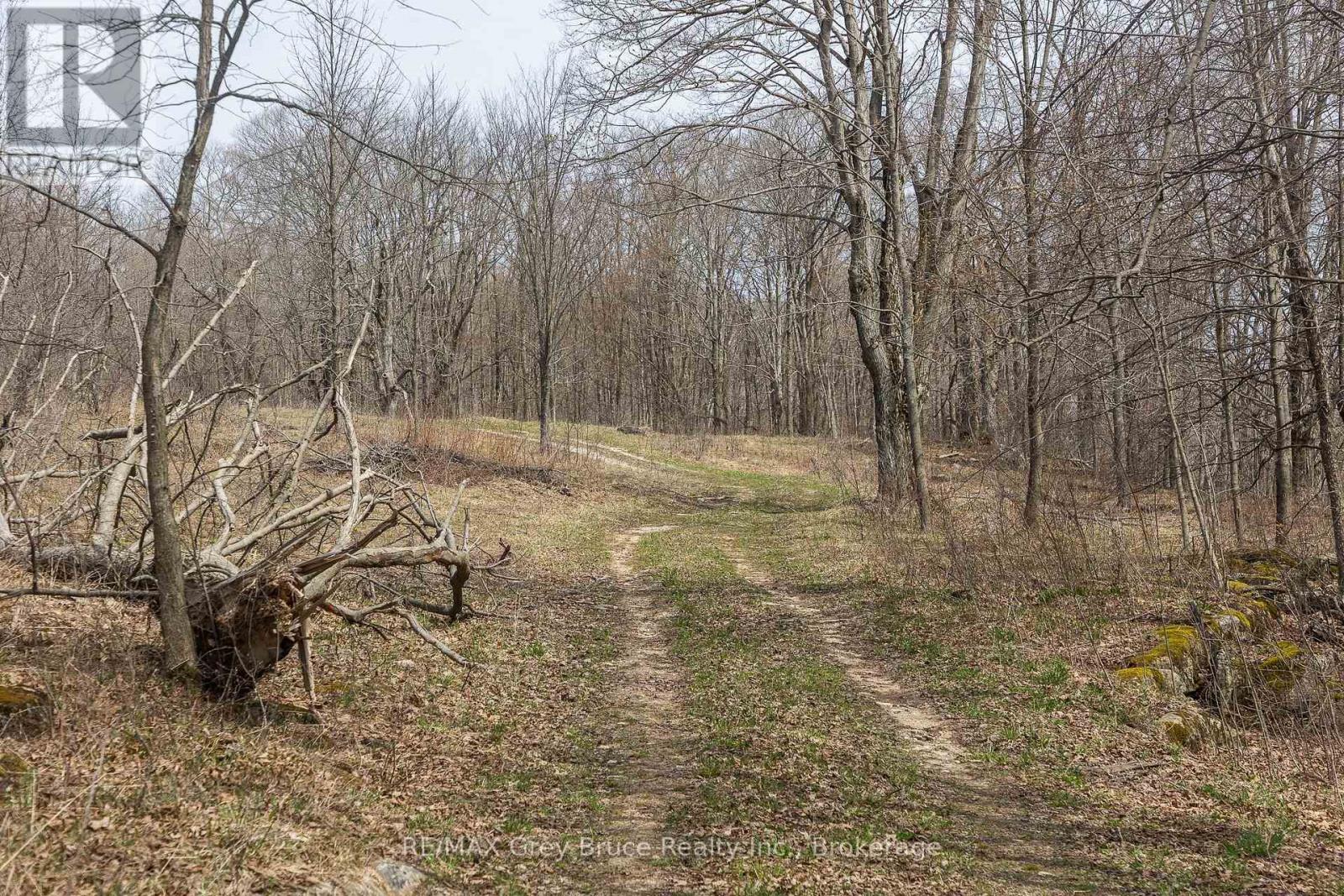 Lt 34 Con 23 Concession 24, Georgian Bluffs, Ontario  N0H 2T0 - Photo 12 - X13040804