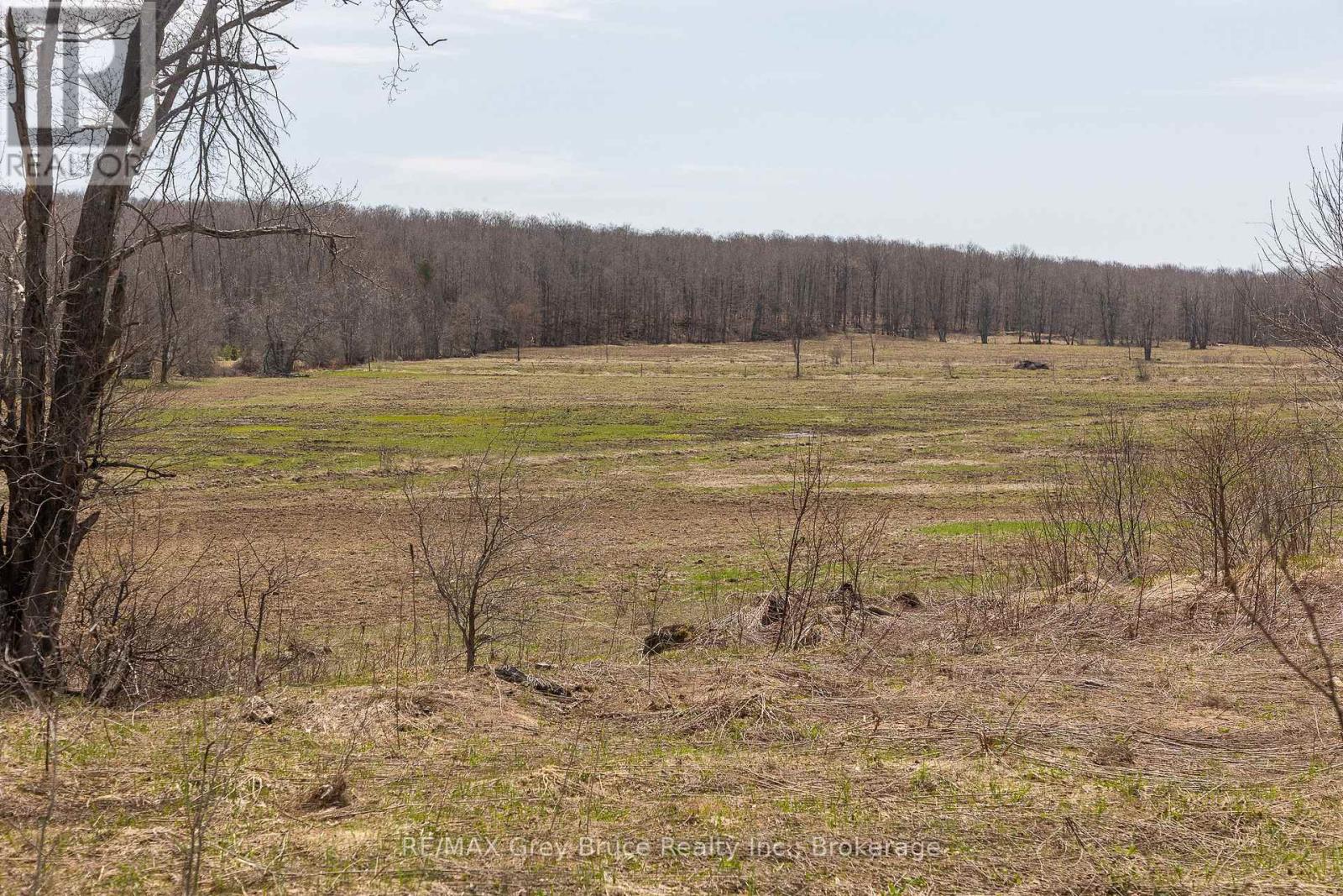 Lt 34 Con 23 Concession 24, Georgian Bluffs, Ontario  N0H 2T0 - Photo 13 - X13040804