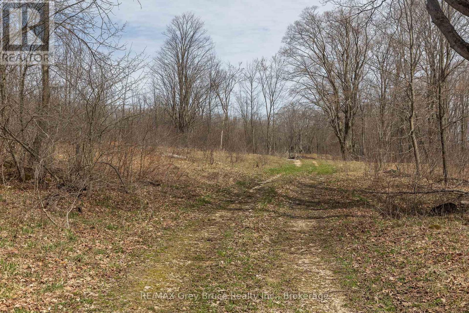 Lt 34 Con 23 Concession 24, Georgian Bluffs, Ontario  N0H 2T0 - Photo 15 - X13040804