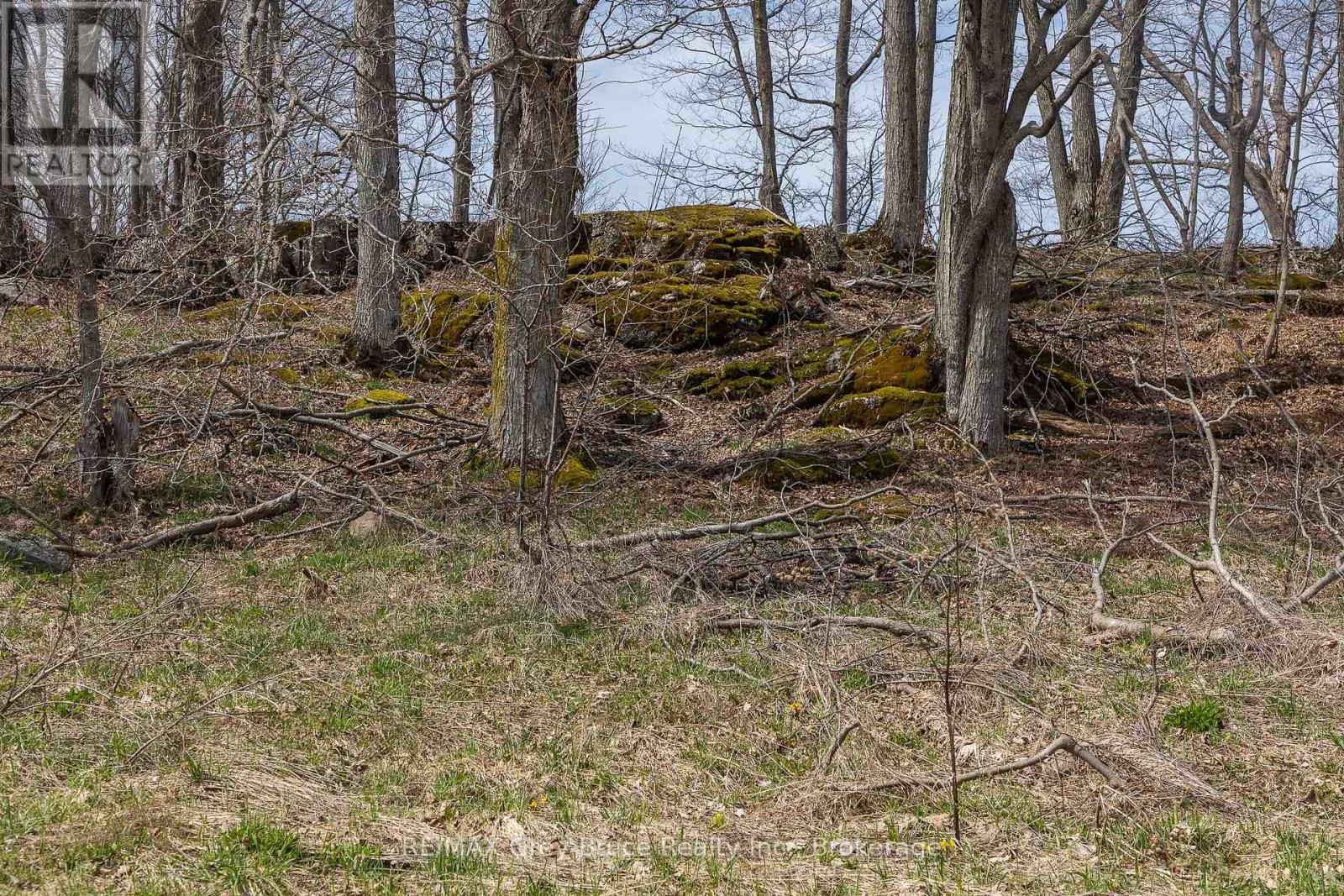 Lt 34 Con 23 Concession 24, Georgian Bluffs, Ontario  N0H 2T0 - Photo 17 - X13040804