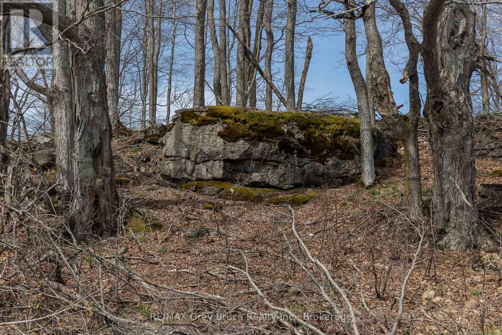 Lt 34 Con 23 Concession 24, Georgian Bluffs, Ontario  N0H 2T0 - Photo 18 - X13040804