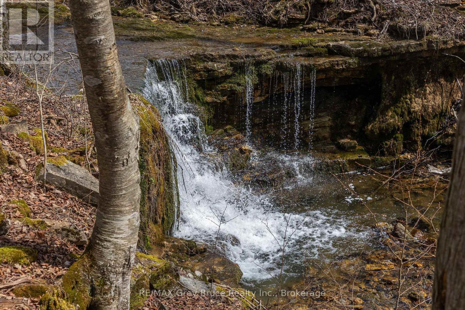 Lt 34 Con 23 Concession 24, Georgian Bluffs, Ontario  N0H 2T0 - Photo 24 - X13040804