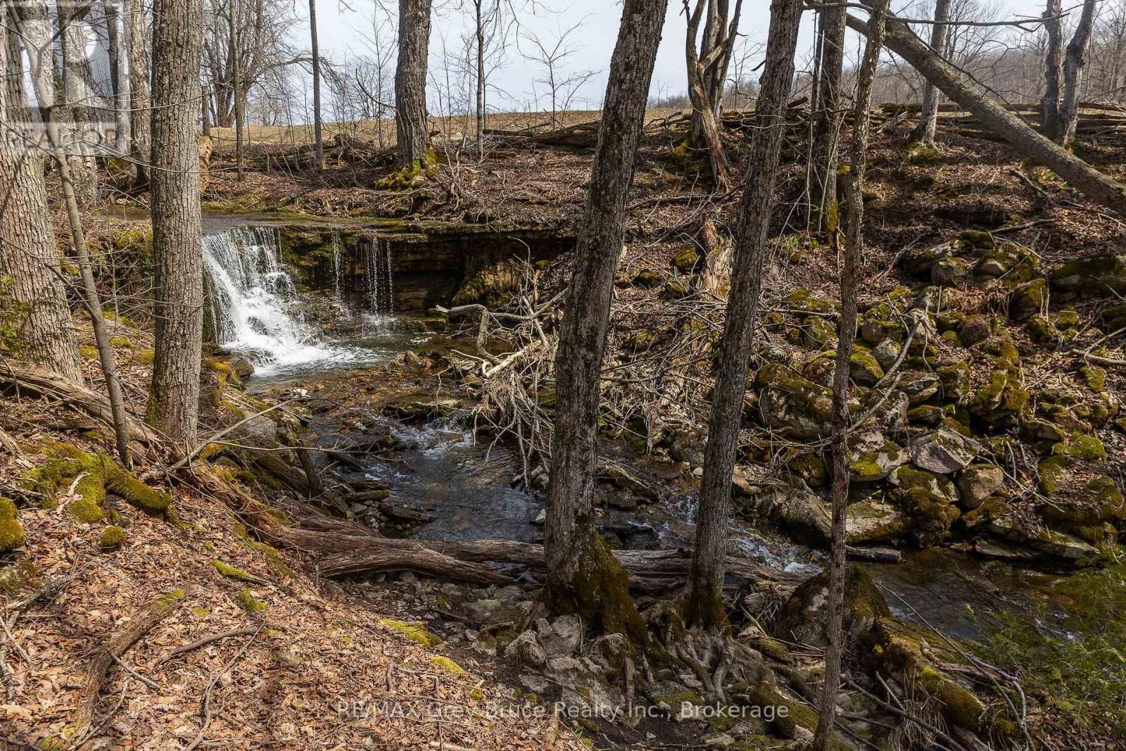 Lt 34 Con 23 Concession 24, Georgian Bluffs, Ontario  N0H 2T0 - Photo 27 - X13040804