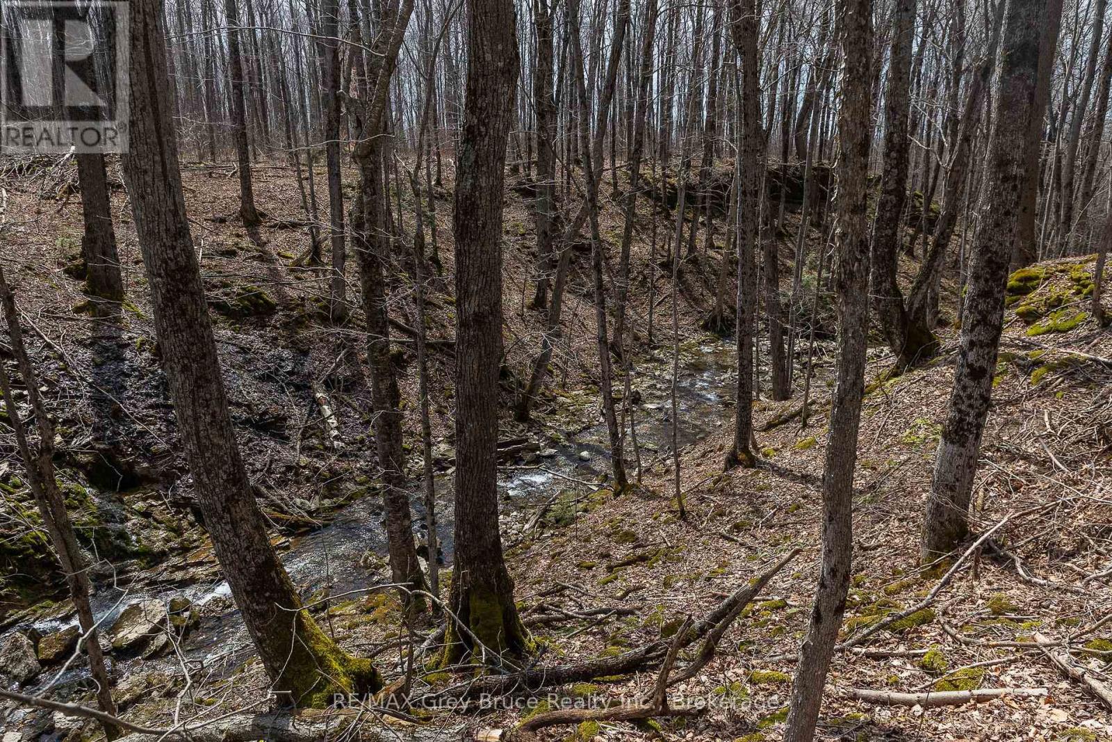 Lt 34 Con 23 Concession 24, Georgian Bluffs, Ontario  N0H 2T0 - Photo 28 - X13040804