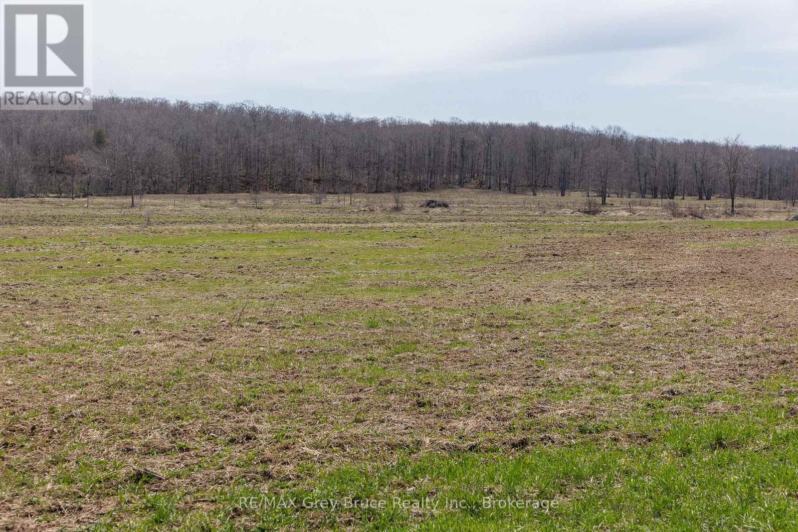 Lt 34 Con 23 Concession 24, Georgian Bluffs, Ontario  N0H 2T0 - Photo 30 - X13040804