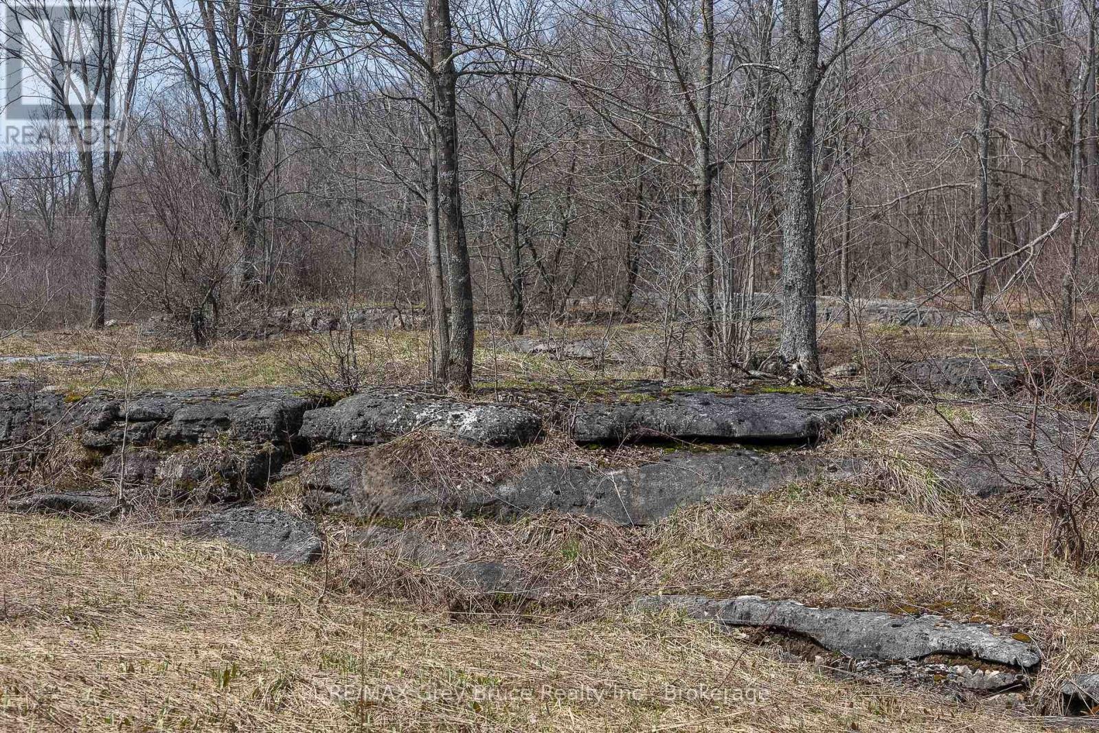 Lt 34 Con 23 Concession 24, Georgian Bluffs, Ontario  N0H 2T0 - Photo 32 - X13040804