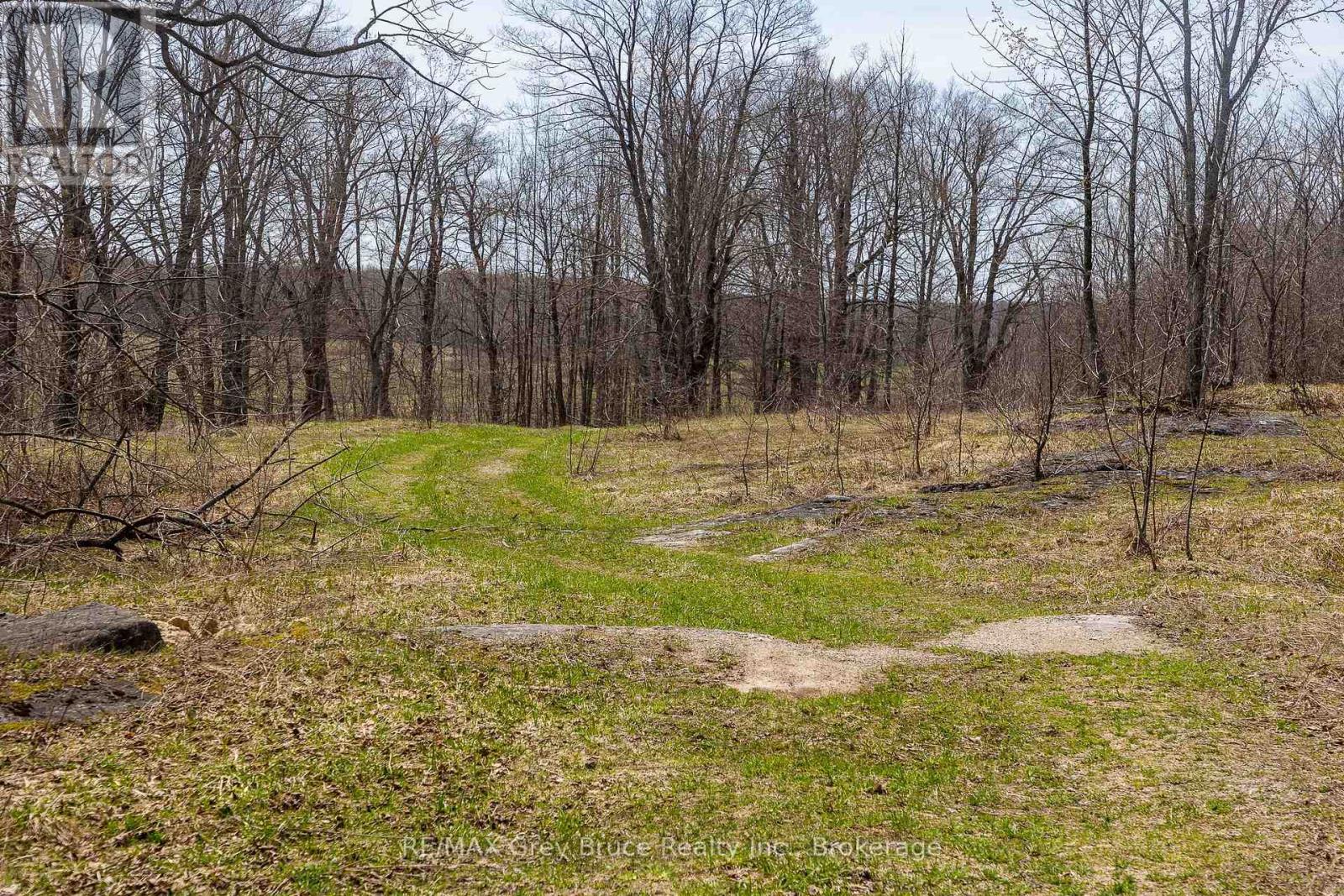 Lt 34 Con 23 Concession 24, Georgian Bluffs, Ontario  N0H 2T0 - Photo 9 - X13040804