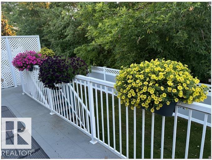 #10 85 Gervais Rd, St. Albert, Alberta  T8N 6H4 - Photo 18 - E4484025