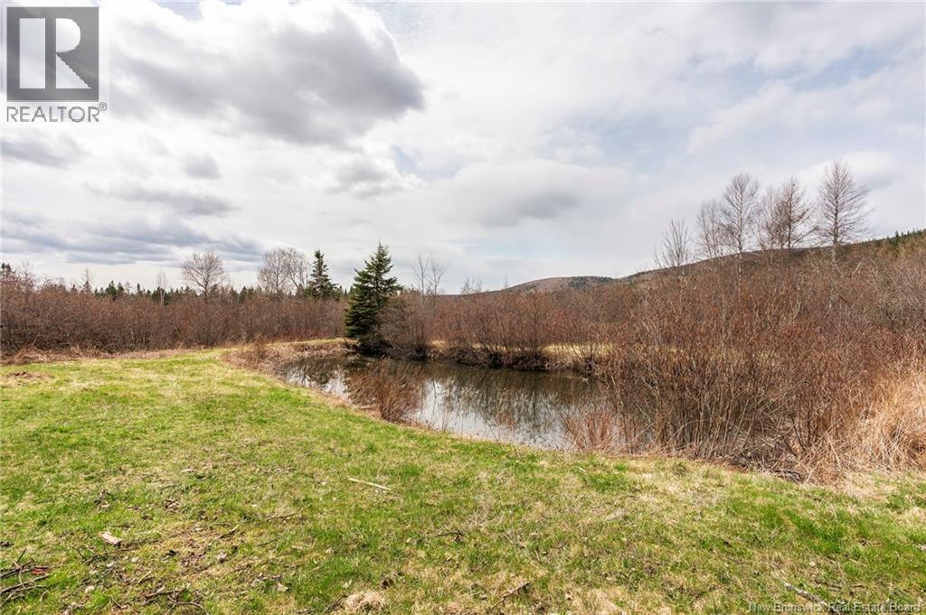 2602 Route 860, Salt Springs, New Brunswick  E5N 4G2 - Photo 19 - NB137711