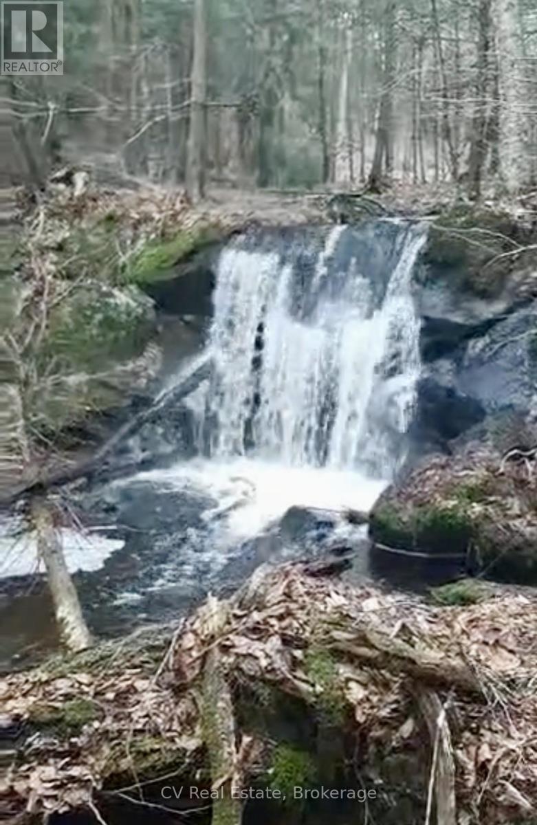 1183 Echo Lake Road, Lake Of Bays, Ontario  P0B 1A0 - Photo 34 - X12986702