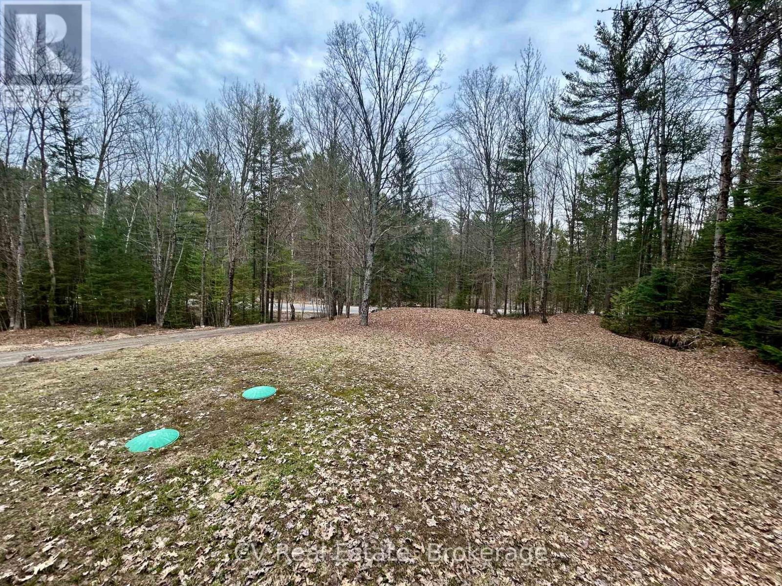 1183 Echo Lake Road, Lake Of Bays, Ontario  P0B 1A0 - Photo 44 - X12986702