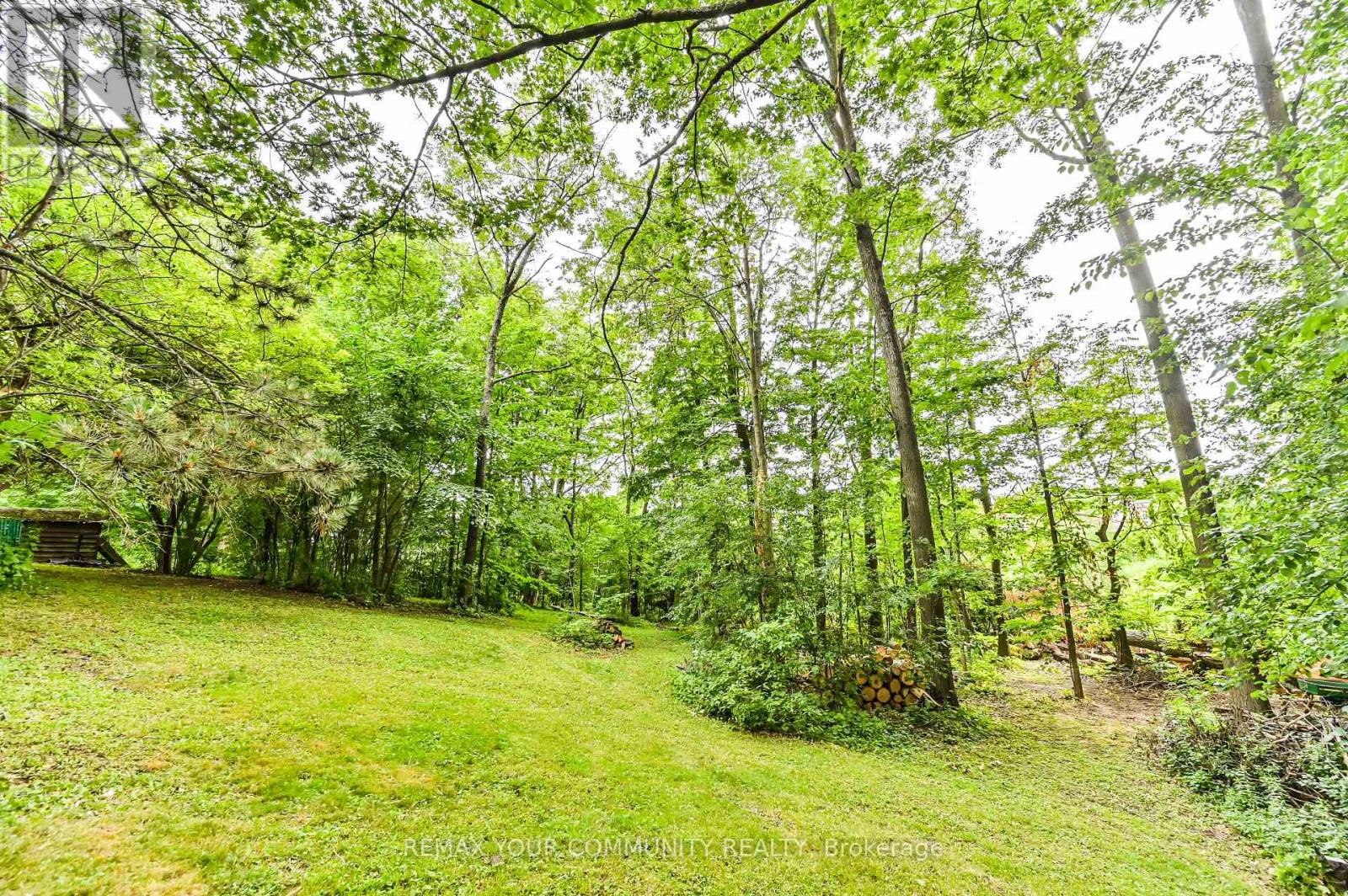 247 Harris Avenue, Richmond Hill, Ontario  L4E 3M3 - Photo 32 - N12759800