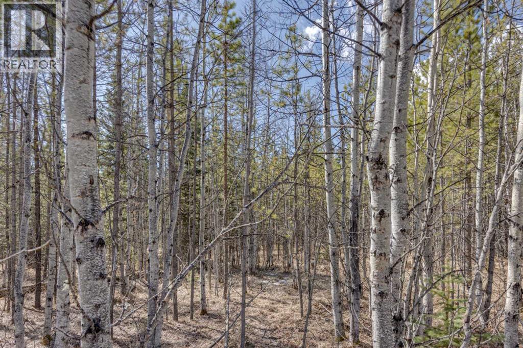 336241 Leisure Lake Bay W, Rural Foothills County, Alberta  T0L 1W2 - Photo 14 - A2303777