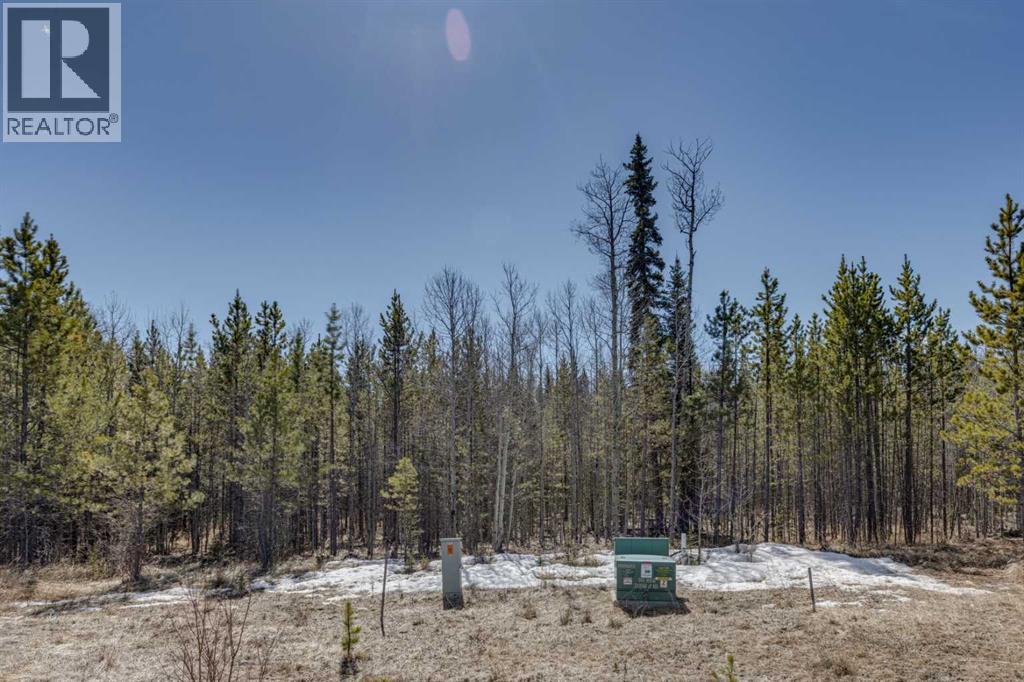 336241 Leisure Lake Bay W, Rural Foothills County, Alberta  T0L 1W2 - Photo 9 - A2303777