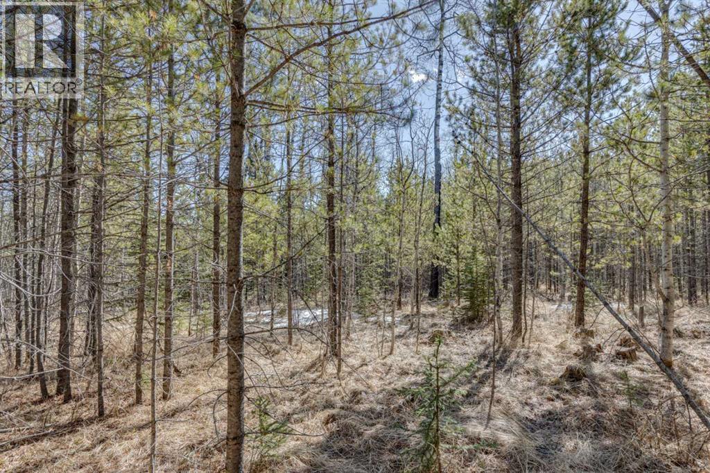 336241 Leisure Lake Bay W, Rural Foothills County, Alberta  T0L 1W2 - Photo 20 - A2303777