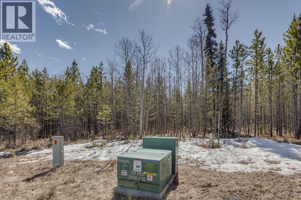 336241 Leisure Lake Bay W, Rural Foothills County, Alberta  T0L 1W2 - Photo 10 - A2303777