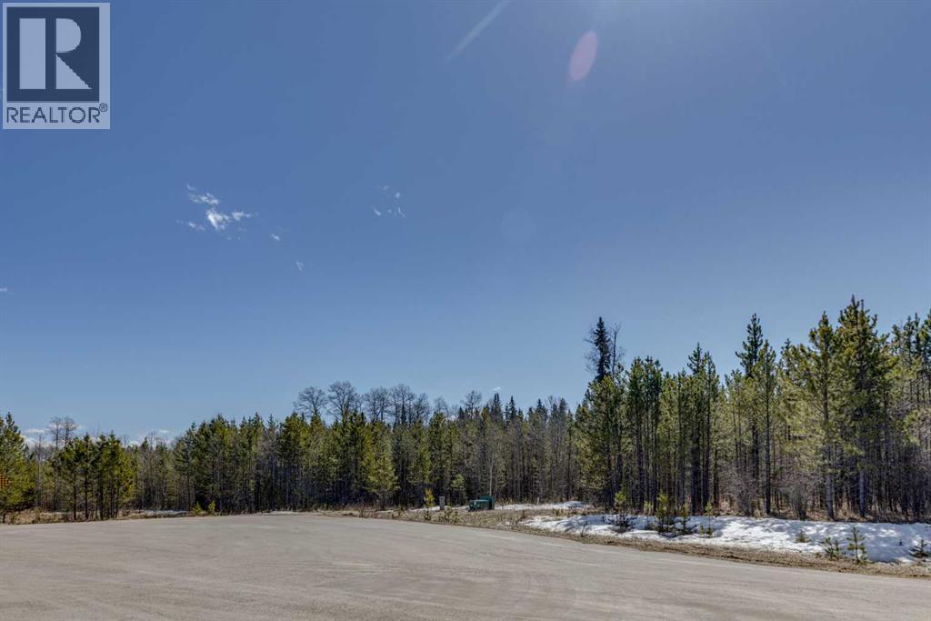 336241 Leisure Lake Bay W, Rural Foothills County, Alberta  T0L 1W2 - Photo 11 - A2303777