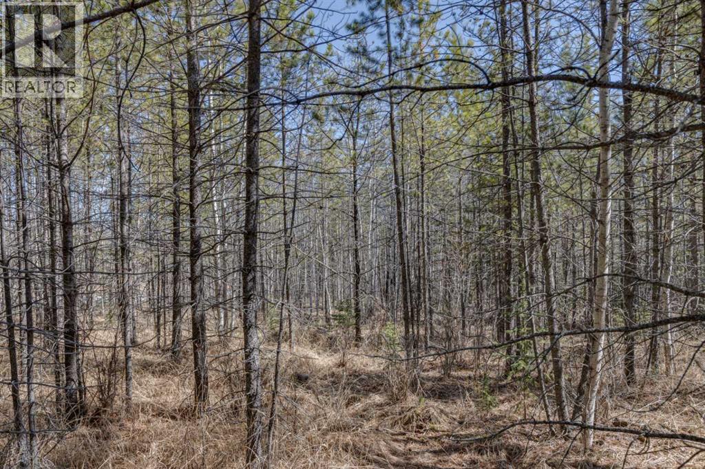 336241 Leisure Lake Bay W, Rural Foothills County, Alberta  T0L 1W2 - Photo 17 - A2303777