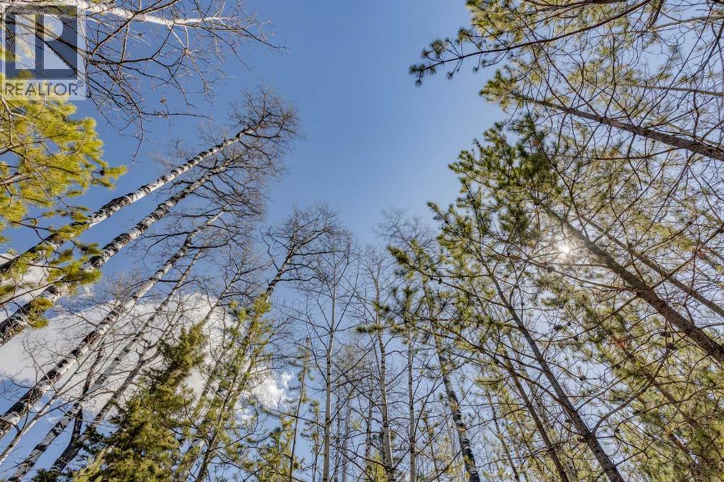 336241 Leisure Lake Bay W, Rural Foothills County, Alberta  T0L 1W2 - Photo 26 - A2303777